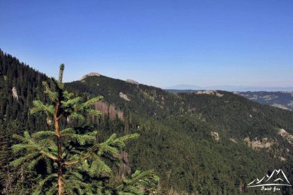 Widok w stronę Sarniej Skały.