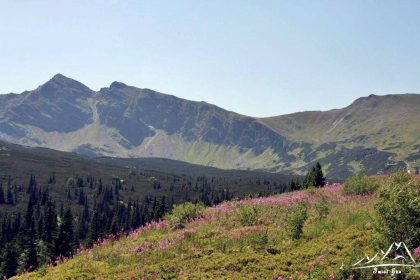 Od lewej Pośrednia Turnia (2128 m.n.p.m.), Skrajna Turnia (2096 m.n.p.m.), Przełęcz Liliowe (1952 m.n.p.m.), Beskid (2012 m.n.p.m.).