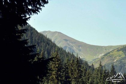 Wołowiec (2064 m.n.p.m.) z Polany Chochołowskiej.