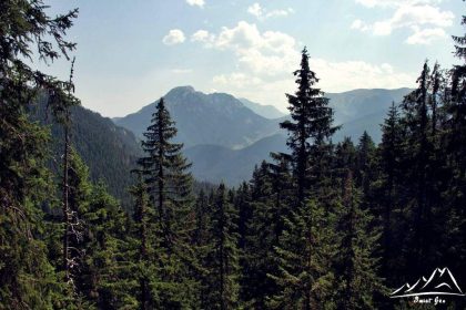 Widok na Kominiarski Wierch.