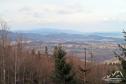 Widok na Góry Sowie.