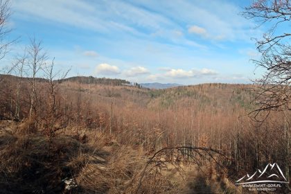 Widok w kierunku Gór Bardzkich.