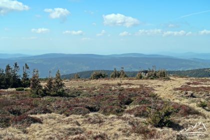 Widok na rejon Gór Bialskich i Złotych.