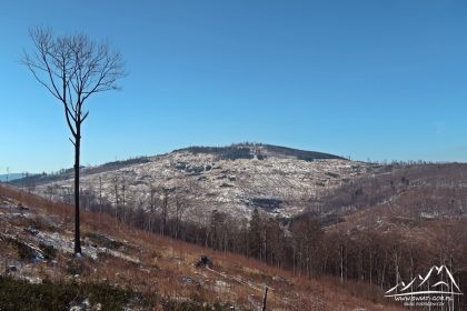 Biskupia Kopa (890 m.n.p.m.).