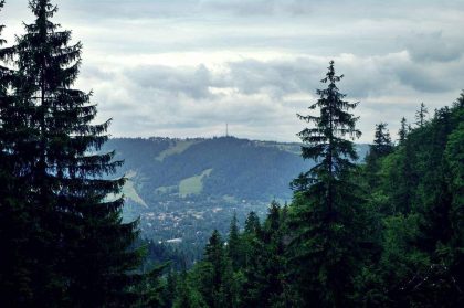 Ruszamy na Nosal, widok na Gubałówkę (1126 m.n.p.m.).