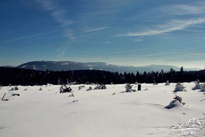 Panorama na Wysoki Jesionik.