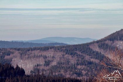 W oddali Góry Złote i Borówkowa Góra (900 m.n.p.m.).