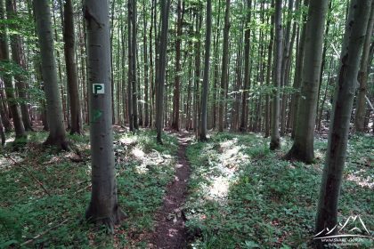 Szlak do Polskiego Źródła.