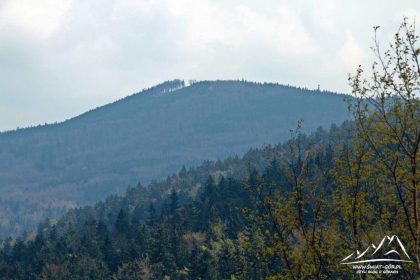 Sokoli Vrch (967 m.n.p.m.)