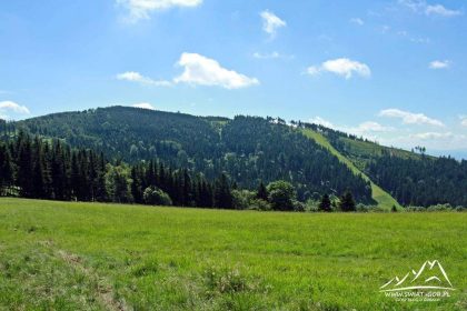 Rymarz (913 m.n.p.m.)