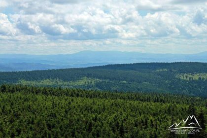 Widok w kierunku Masywu Śnieżnika.