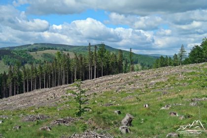 Kremenac - z lewej masyw Studnicnego Vrchu, z prawej w tle Śnieżnik.