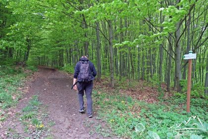 Wspinamy się na Wapniarkę.