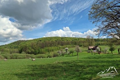 Masyw Dębowej (505 m n.p.m.).