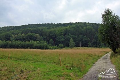 Cierniak (595 m.n.p.m.).