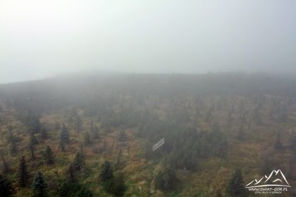Widoków brak.