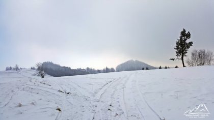 Wzgórza Lewińskie.