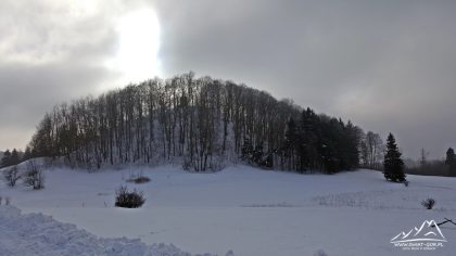 Gomoła (733 m.n.p.m.) i ruiny zamku Homole.