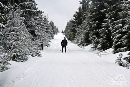 Narciarze zjeżdżają, a my wchodzimy.