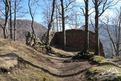 Ruiny zamku na Zamkowej Górze.