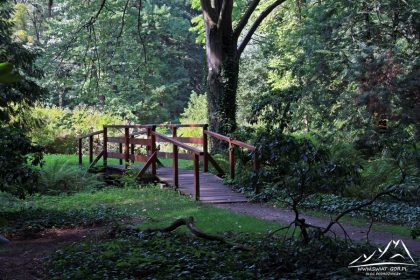 Lipno – arboretum.