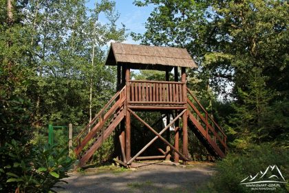 Wieża w arboretum.