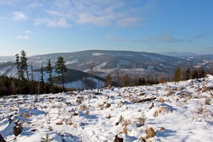 Kopa Biskupia - widok na Pricny Vrch (975 m.n.p.m.)