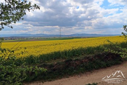 Panorama widokowa z szlaku.