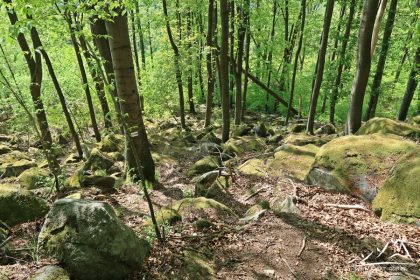 Rumowisko skalne na zejściu.