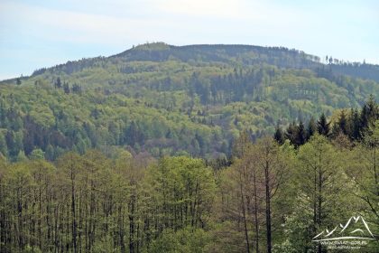 Kolejny raz dziś Jawornik Wielki (872 m.n.p.m.).
