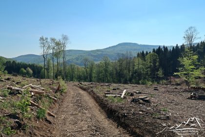 Panorama na Góry Złote i Jawornik Wielki.