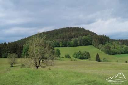 Grodczyn (803 m.n.p.m.).