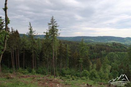 Panorama na Góry Orlickie.