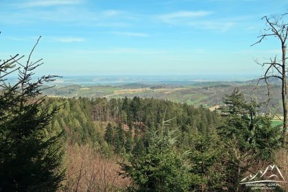Widok w stronę Jeziora Paczkowskiego.