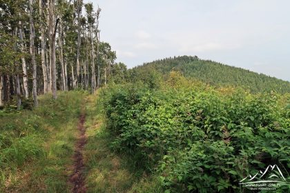 Widok na Ostrą Górę.