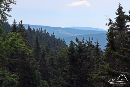 Widoczna z wieżą Cerna Hora (1299 m.n.p.m.)