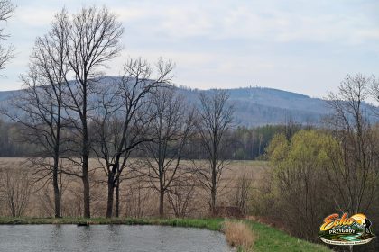 Widok na Biskupią Kopę i Srebrną Kopę.