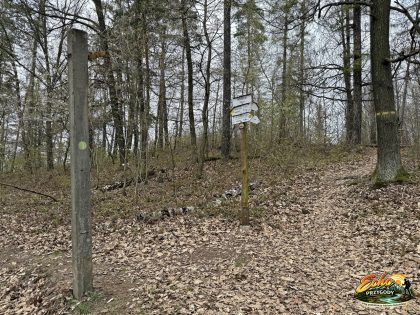 Wierzchołek Wróblika
