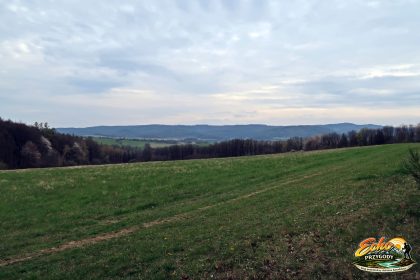 Panorama Gór Opawskich z okolic Wróblika