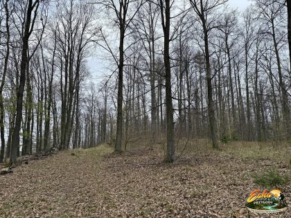 Idąc ścieżką w pewnym momencie trzeba odbić w las w prawo.