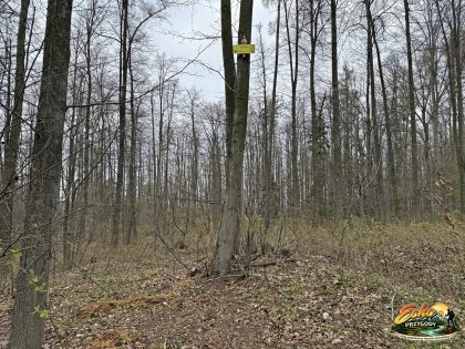 Wierzchołek Sępika