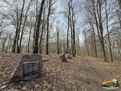 Długota - Aleja Turystów i pamiątkowa tablica