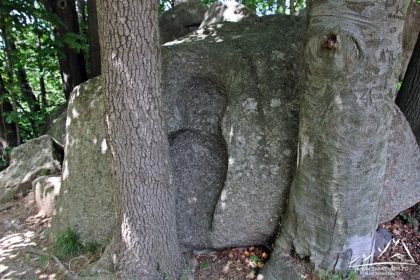 Przesieka - Kamień Waloński.