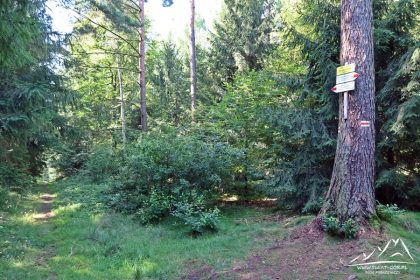Pod Średnią Kopą.