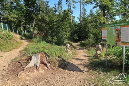 Singletrack Złote Ścieżki.