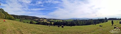 Panorama z polany.
