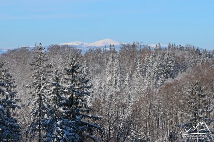 Jałowiec - widok na Karkonosze.