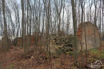 Pozostałości osady Tomkowice.