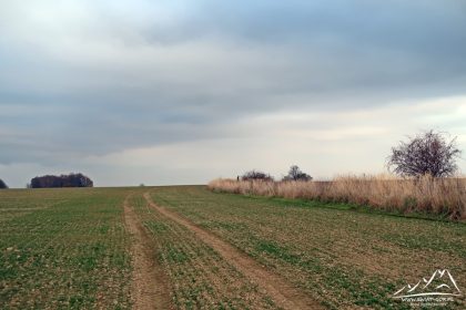 Wzdłuż granicy na Kawlarię.