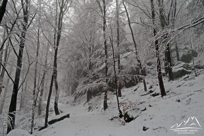 W drodze do Zamku Bolczów.